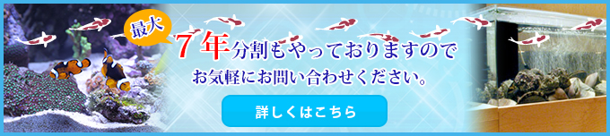 最大7年分割もやっておりますのでお気軽にお問い合わせください。