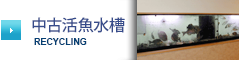 中古活魚水槽