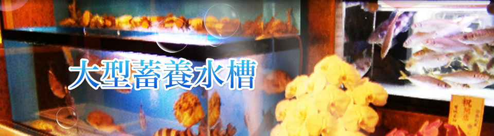 大型畜養水槽