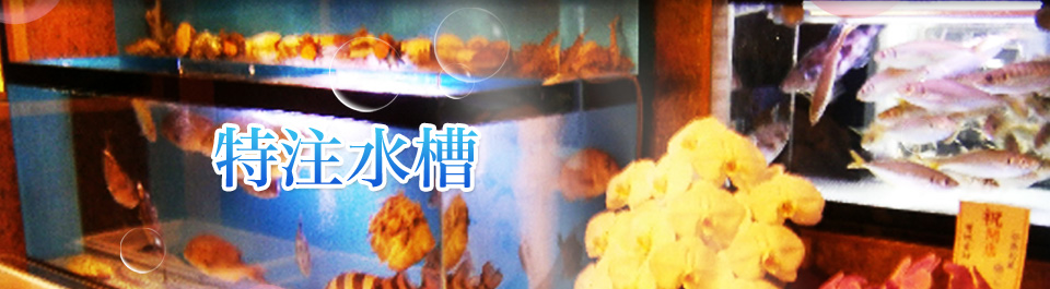 特注水槽