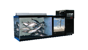 A-1型 900セット